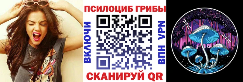 магазин продажи   Верхний Тагил  маркетплейс формула  Псилоцибиновые грибы Magic Shrooms 
